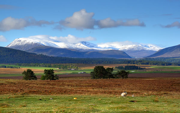 Cairngorms
